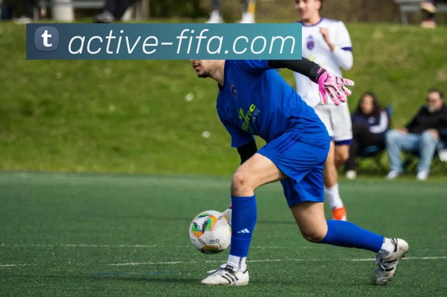 世界杯足彩 足球赛事服务体系